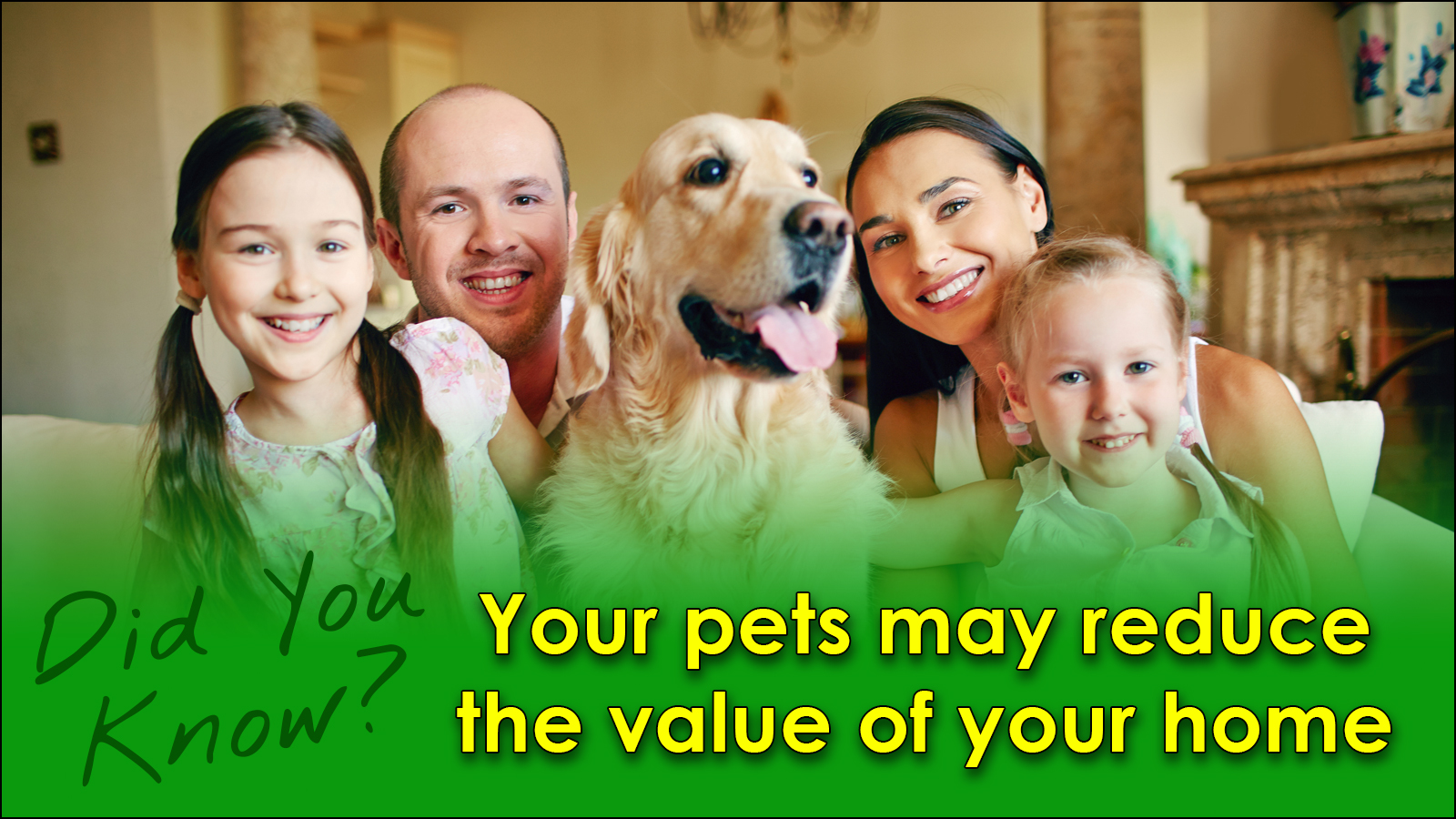 Read more about the article Your pets may reduce the value of your home
