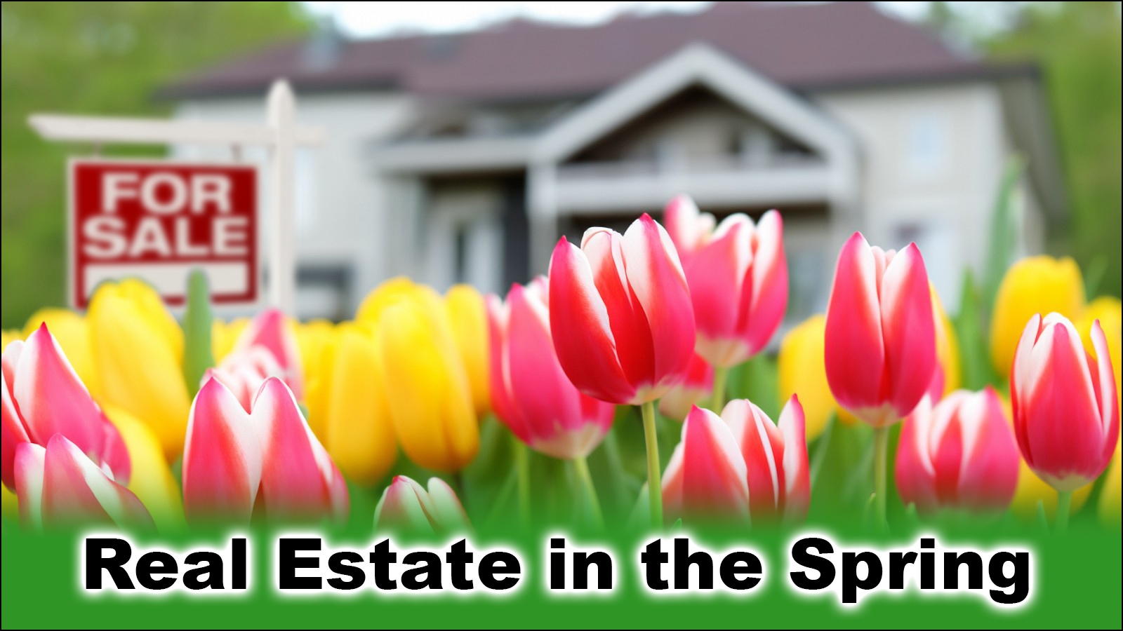 You are currently viewing Real Estate in the Spring